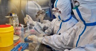 Главная особенность бессимптомных носителей COVID-19