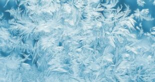 От отита до аллергии: что грозит любителям ходить без шапки