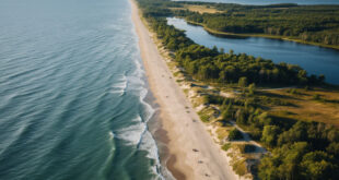 Куршская коса: природный феномен на границе моря и дюн