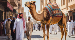 Ожидаем увелечение турпотока из Саудовской Аравии