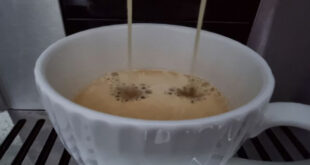 Кофе в зернах или молотый: что вы пьете на самом деле — эликсир бодрости или кислотный взрыв