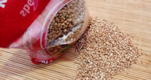 Что будет, если есть гречку каждый день: неожиданный эффект для похудения и кожи