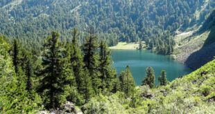 Слетать на майские на Алтай обойдется едва ли не в ту же цену, что и в Таиланд